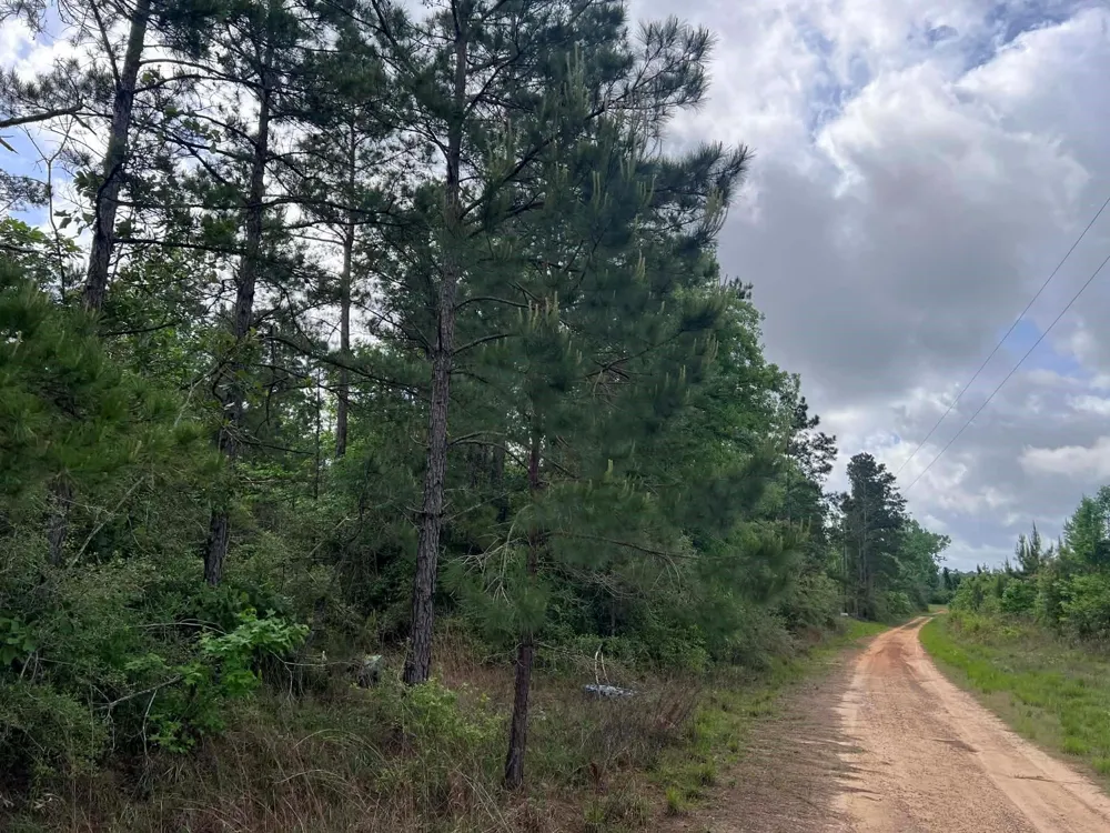County Road 2041 Newton, TX 75966