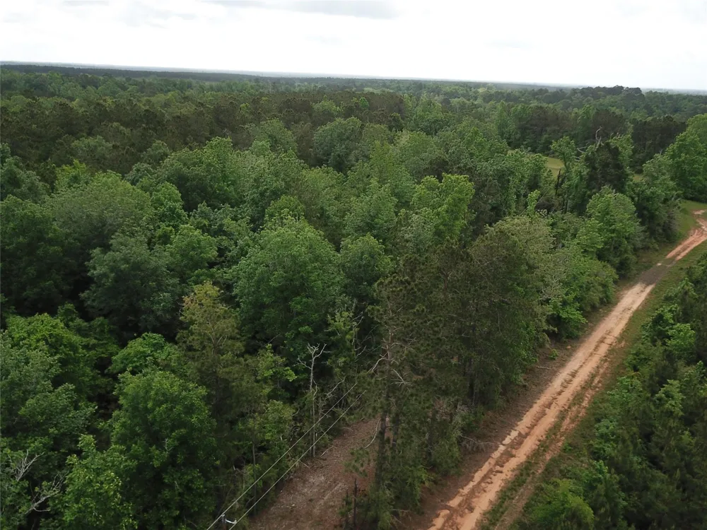 County Road 2041 Newton, TX 75966
