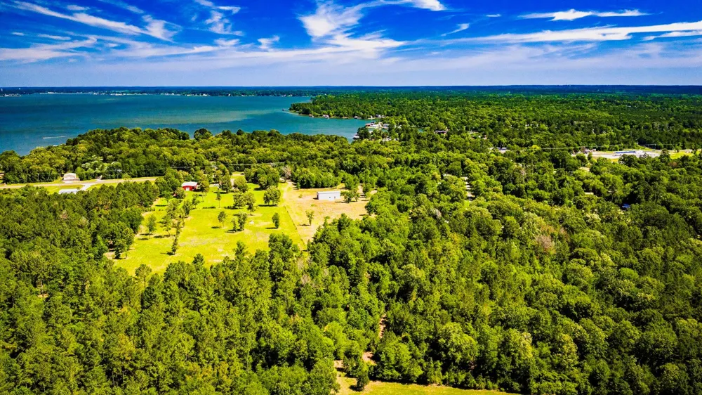 Fm 2457 Livingston, TX 77351