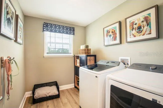 30621 PRESTWICK AVENUE Sorrento, FL 32776