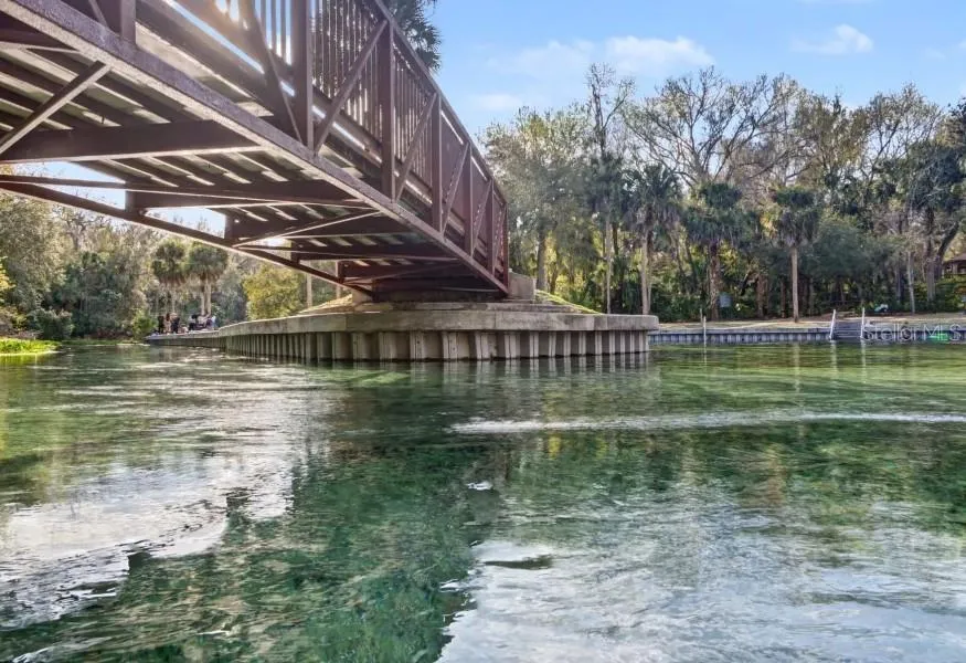 30621 PRESTWICK AVENUE Sorrento, FL 32776