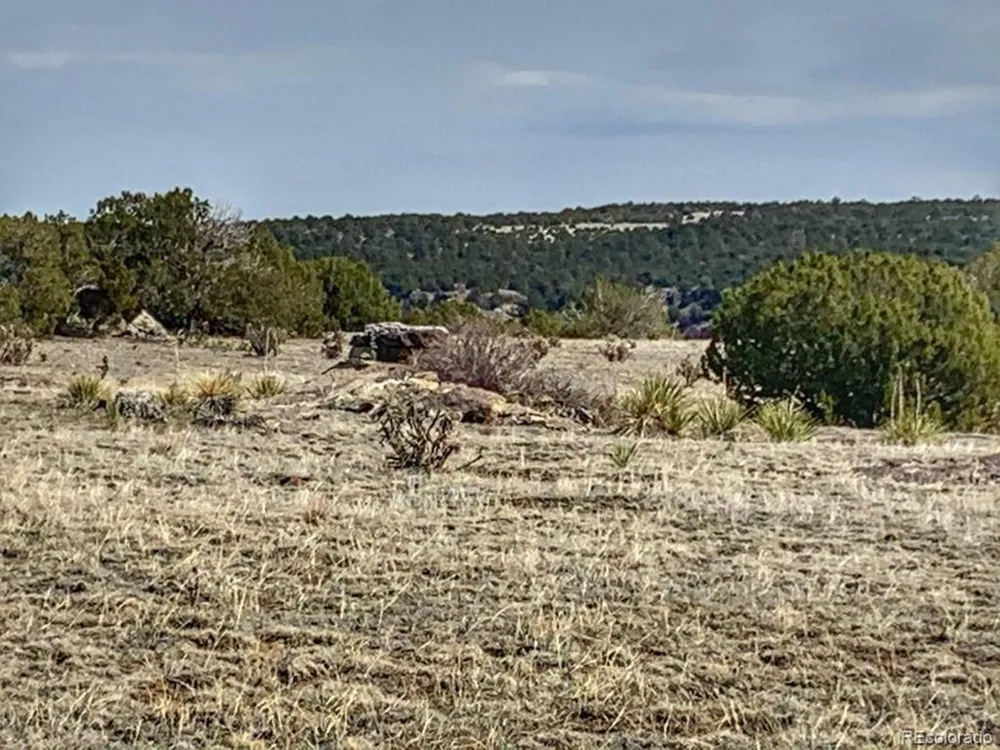 80 Turkey Ridge Ranch Walsenburg, CO 81089
