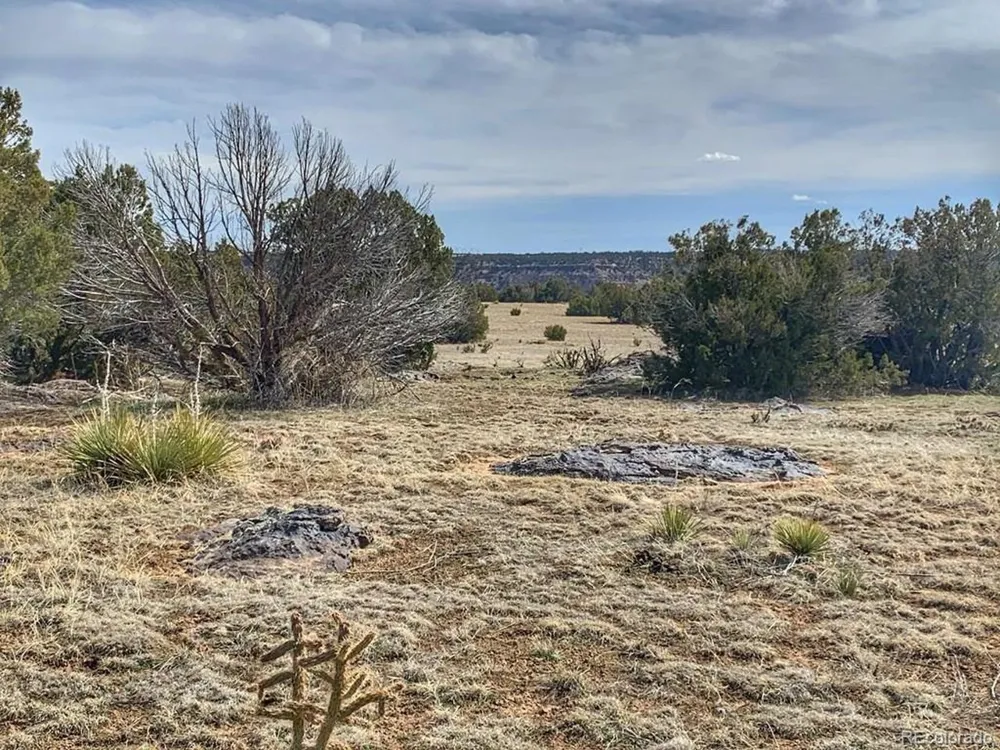 80 Turkey Ridge Ranch Walsenburg, CO 81089