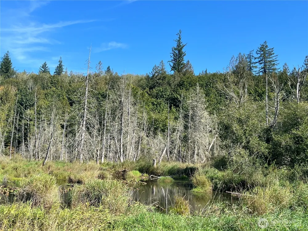 28897 X Highway 101 Quilcene, WA 98376