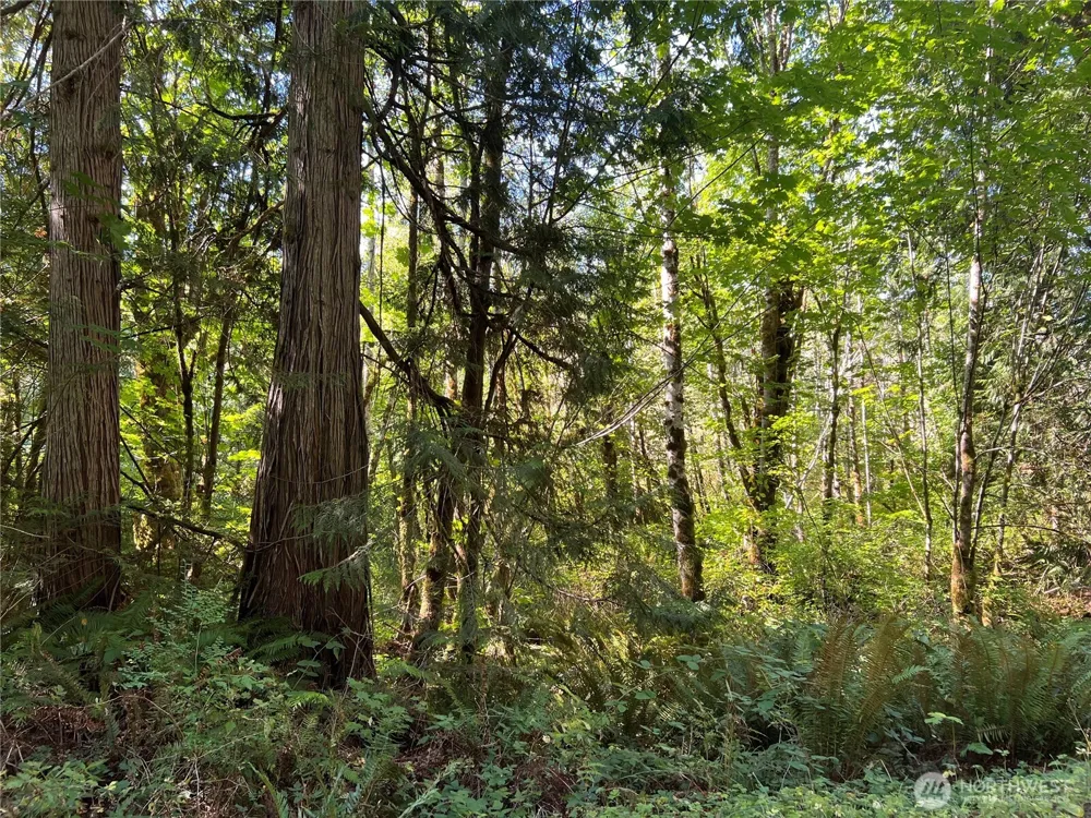 28897 X Highway 101 Quilcene, WA 98376