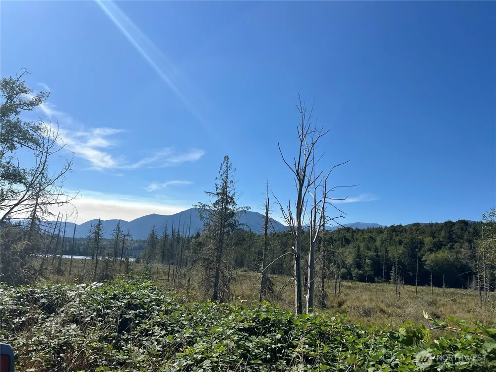 28897 X Highway 101 Quilcene, WA 98376