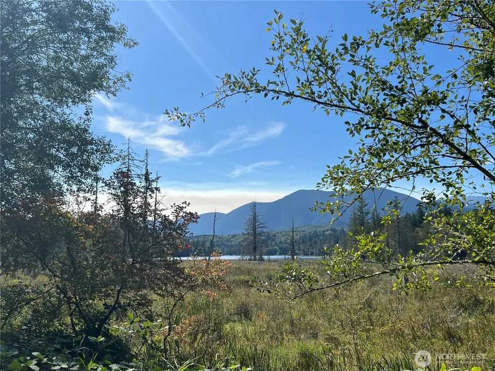 28897 X Highway 101 Quilcene, WA 98376
