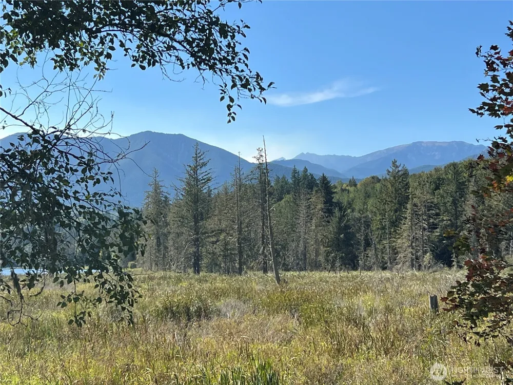 28897 X Highway 101 Quilcene, WA 98376