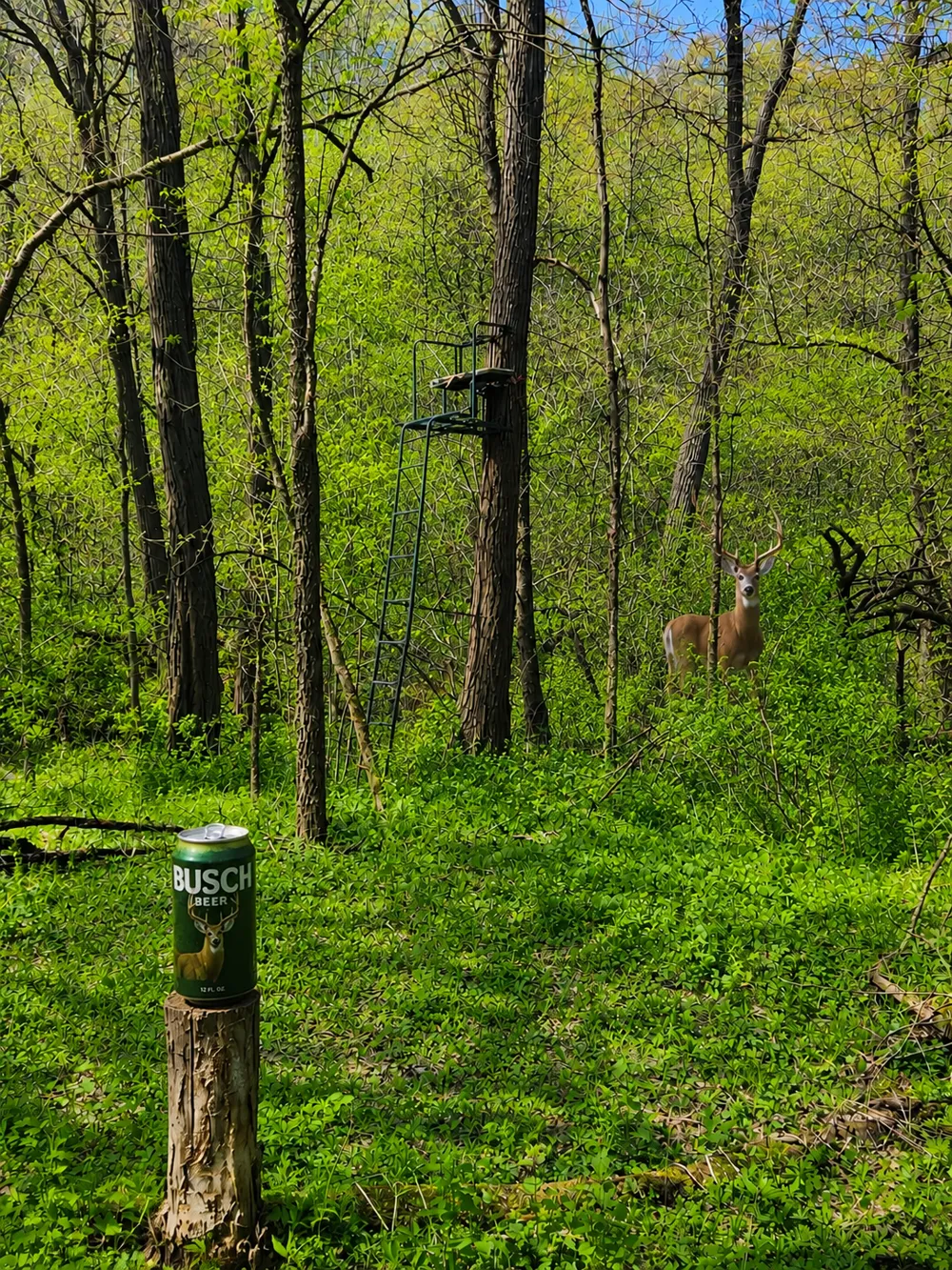 24141 Homer Valley Road Winona, MN 55987