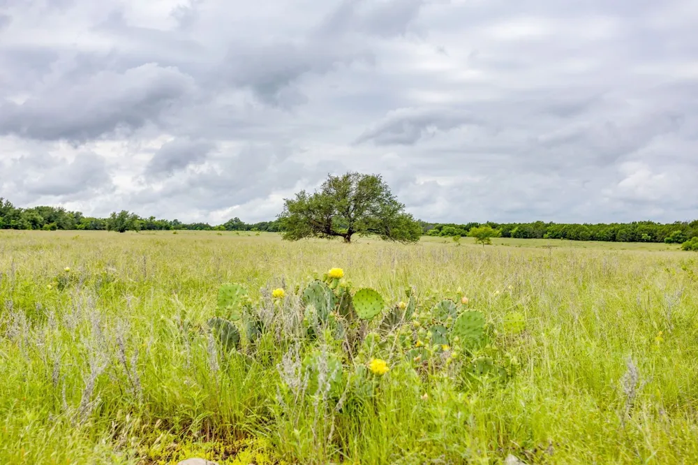 400 S 10th Avenue Palo Pinto, TX 76472