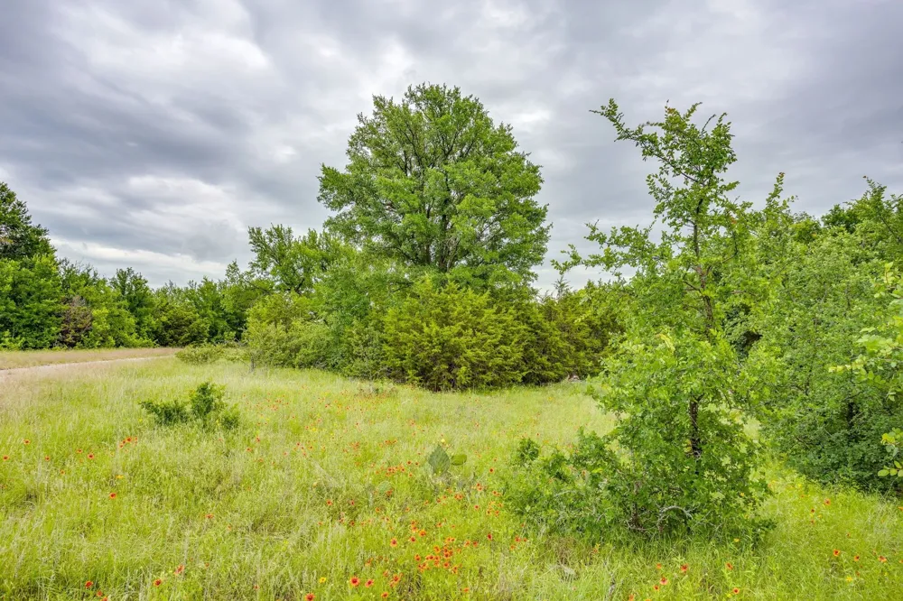 400 S 10th Avenue Palo Pinto, TX 76472