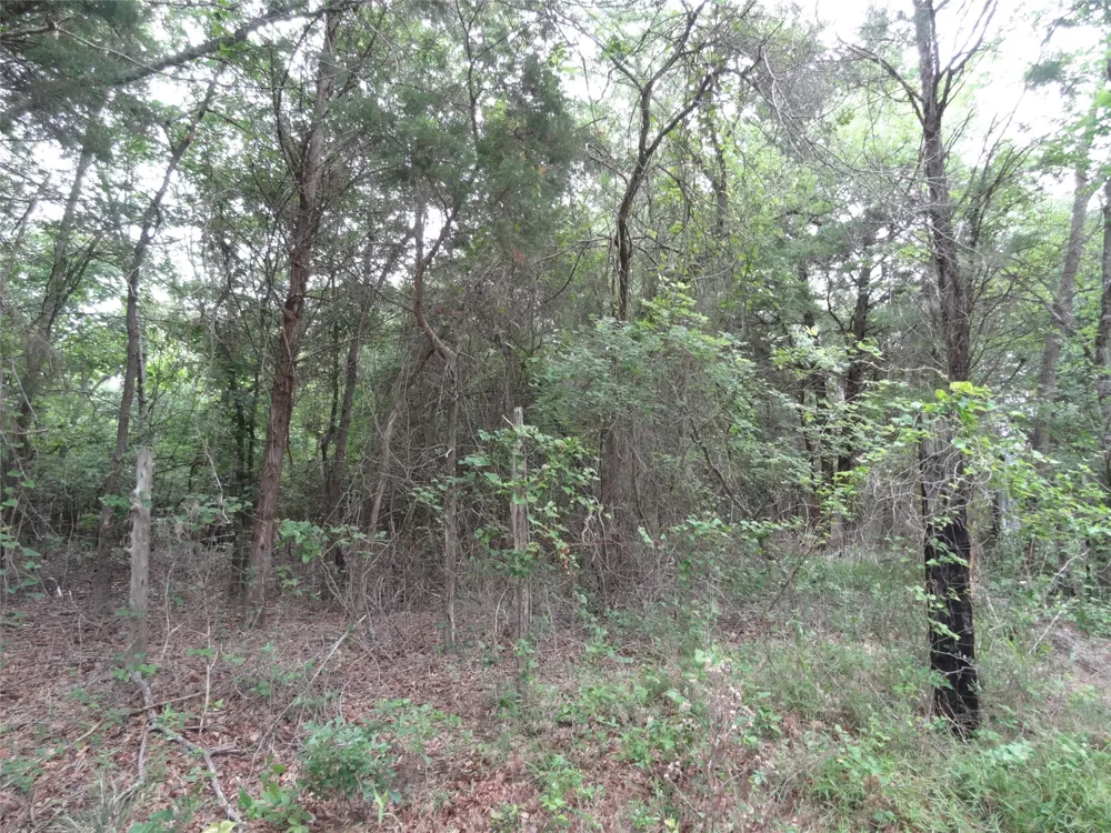 VZ CR 2908 Eustace, TX 75124