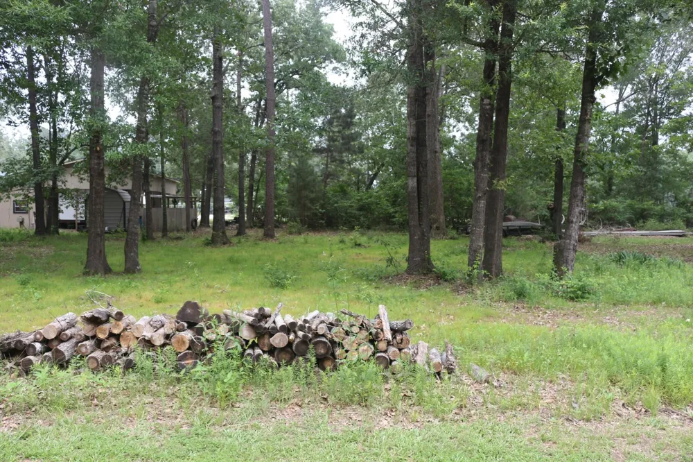Belize Drive Point Blank, TX 77364