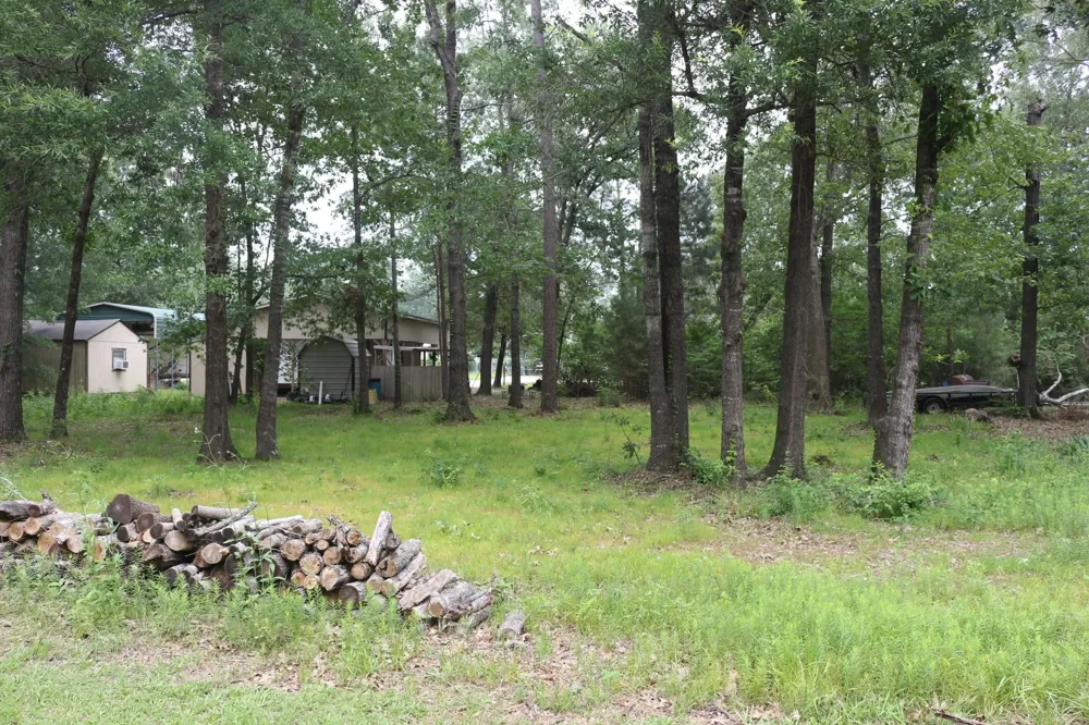 Belize Drive Point Blank, TX 77364
