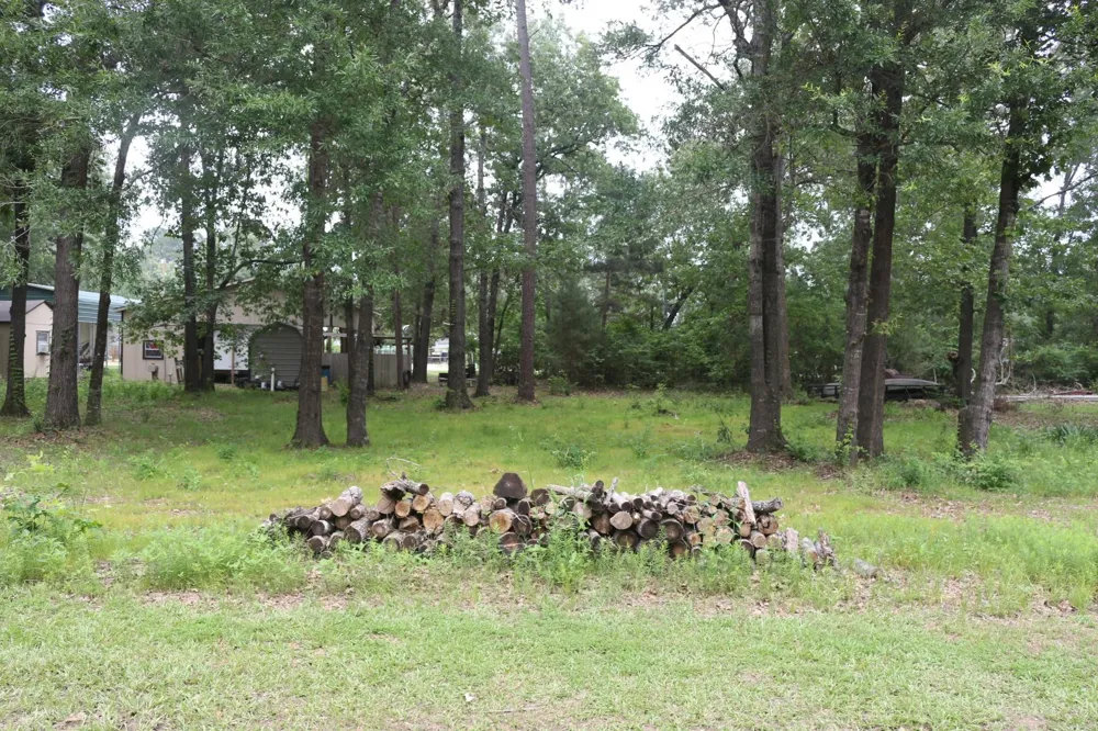 Belize Drive Point Blank, TX 77364