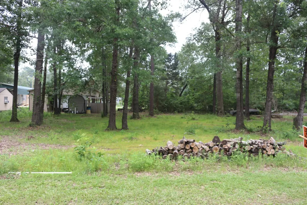 Belize Drive Point Blank, TX 77364