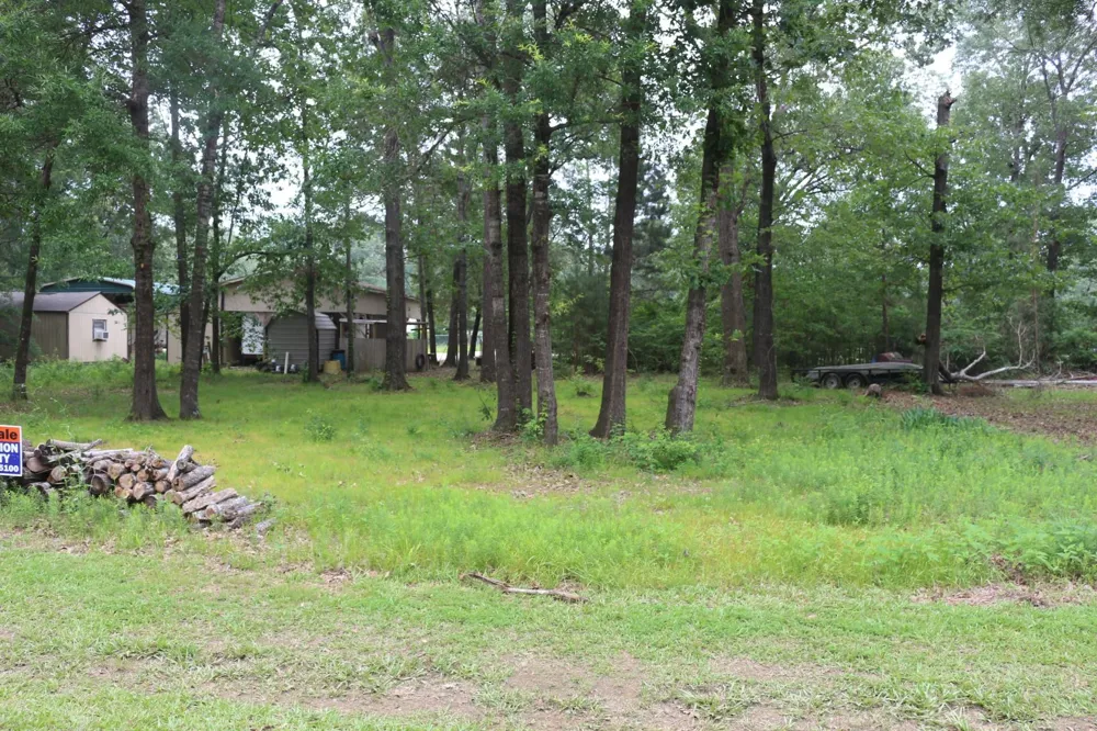 Belize Drive Point Blank, TX 77364