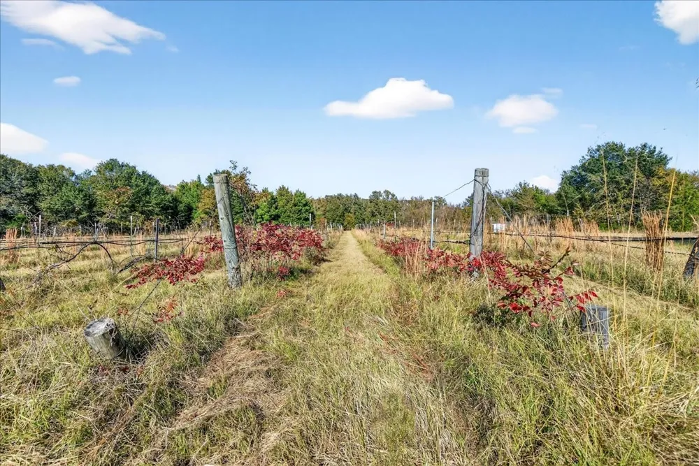 1603 VZ CR 2908 Eustace, TX 75124