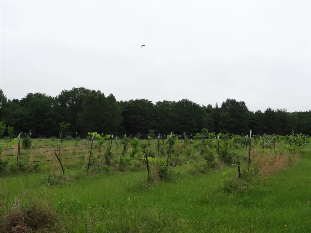 1603 VZ CR 2908 Eustace, TX 75124