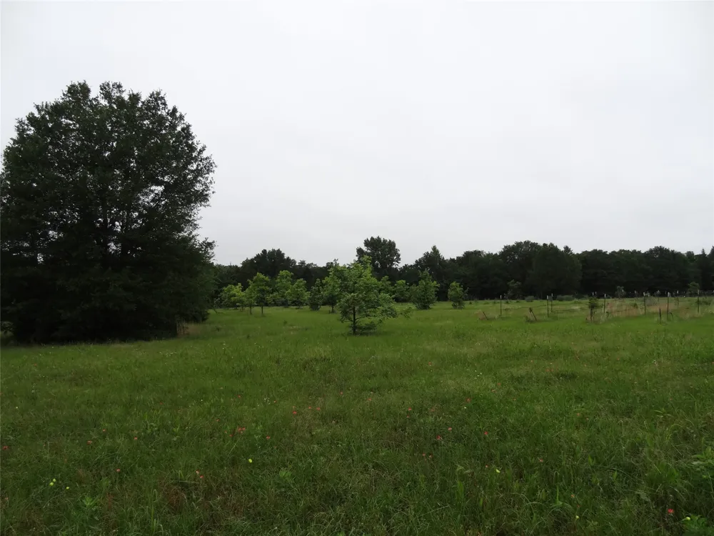 1603 VZ CR 2908 Eustace, TX 75124