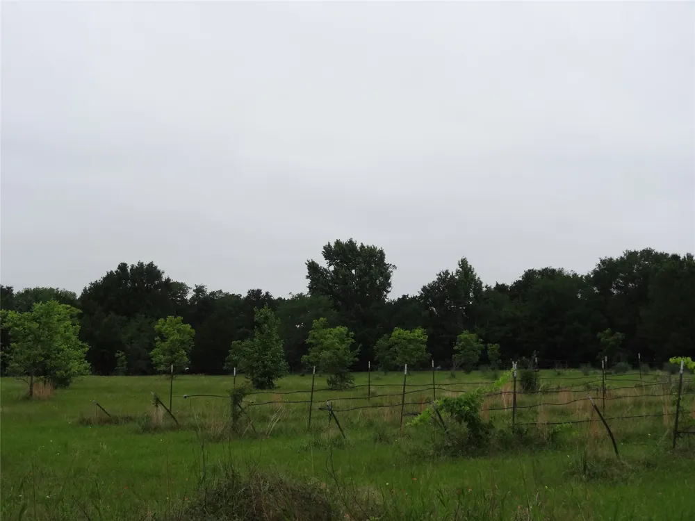 1603 VZ CR 2908 Eustace, TX 75124