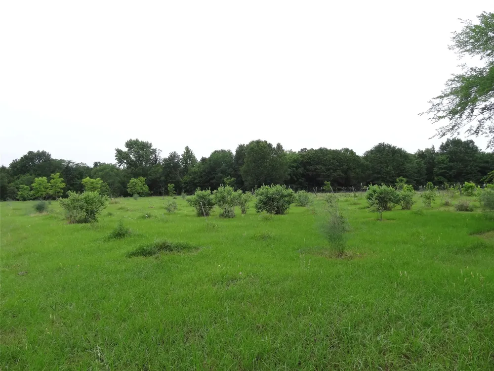 1603 VZ CR 2908 Eustace, TX 75124