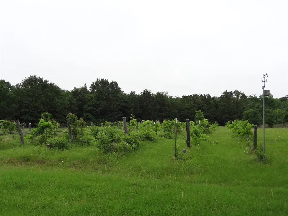 1603 VZ CR 2908 Eustace, TX 75124