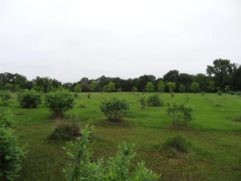 1603 VZ CR 2908 Eustace, TX 75124