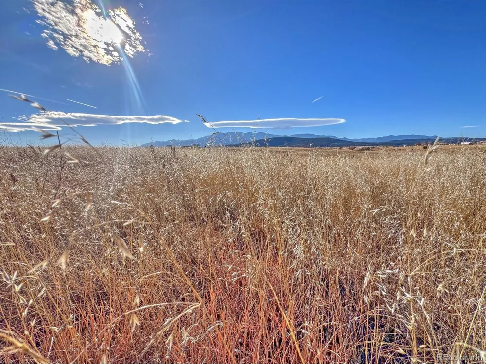 309 Morgan Place Colorado City, CO 81019