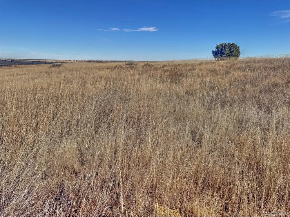 309 Morgan Place Colorado City, CO 81019