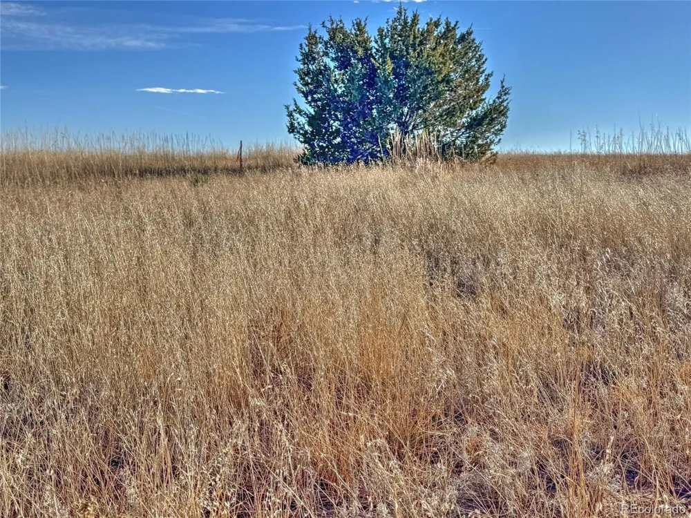 309 Morgan Place Colorado City, CO 81019