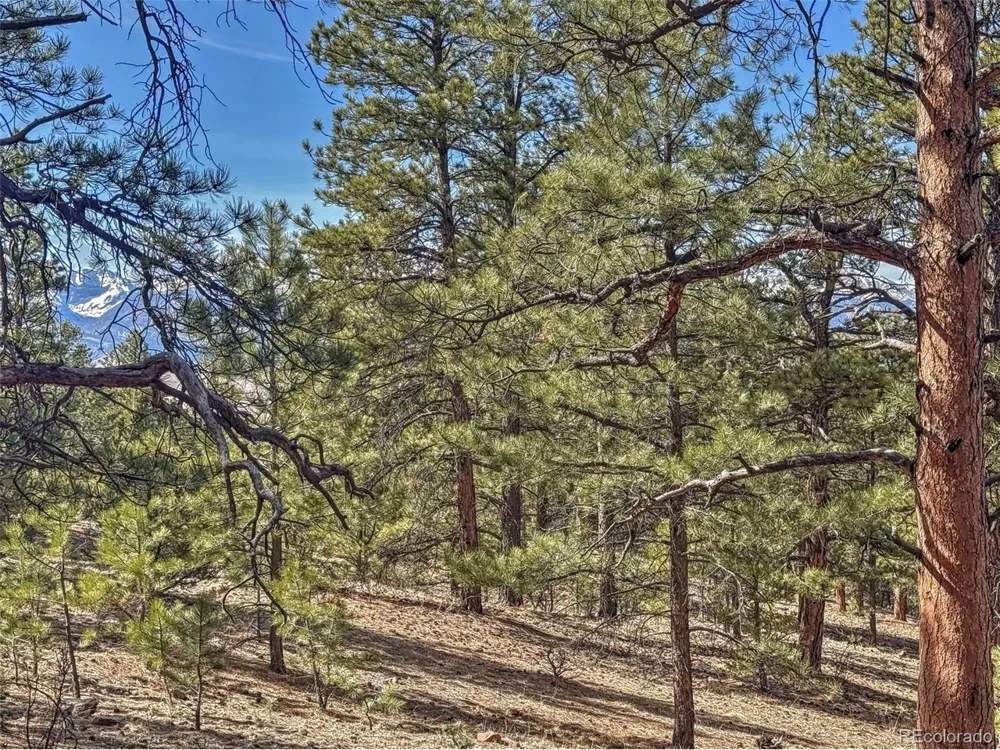 426 Arapaho Road Westcliffe, CO 81252