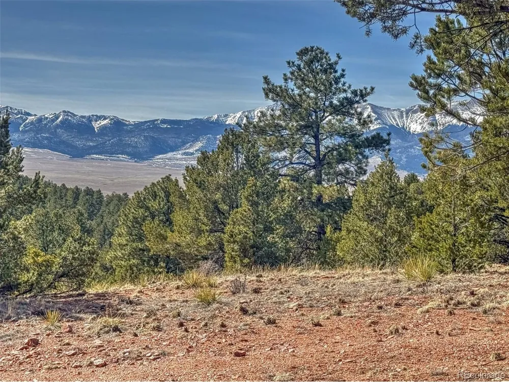 426 Arapaho Road Westcliffe, CO 81252