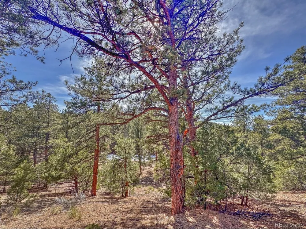 426 Arapaho Road Westcliffe, CO 81252