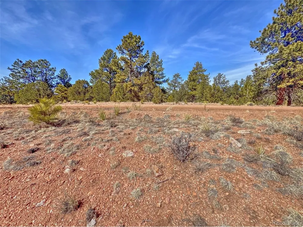 426 Arapaho Road Westcliffe, CO 81252
