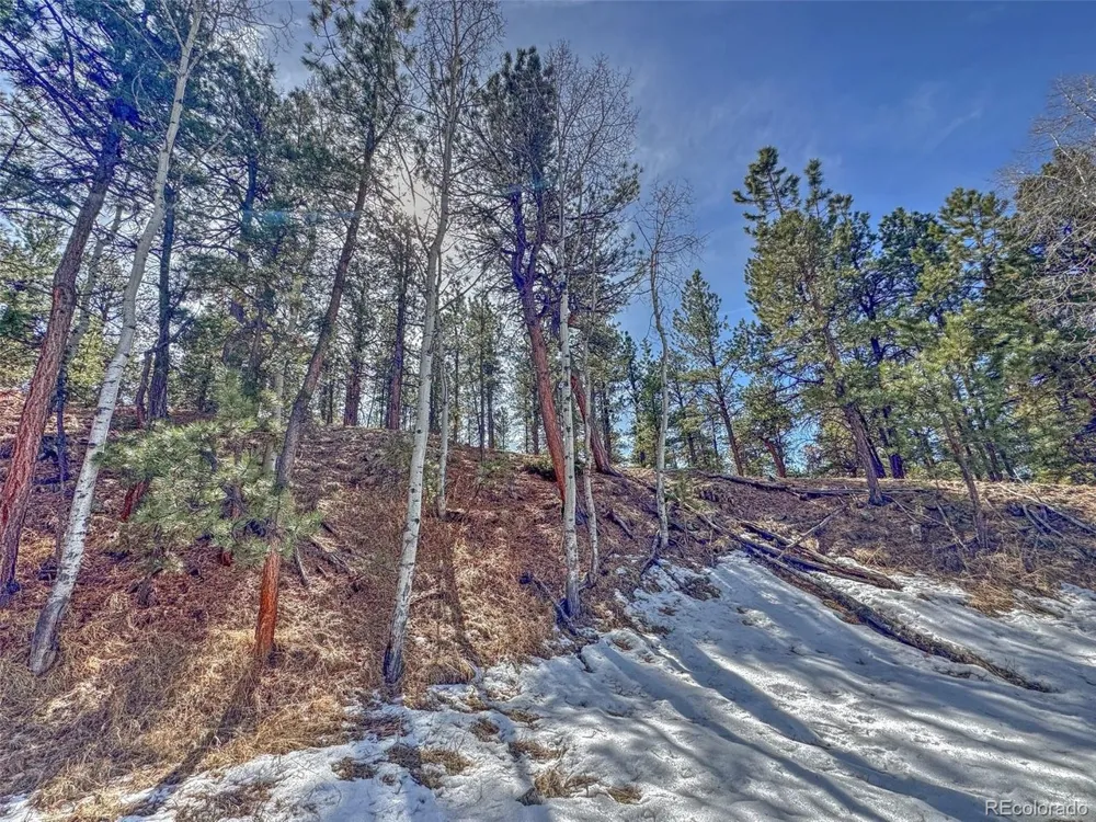 426 Arapaho Road Westcliffe, CO 81252