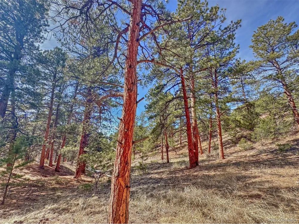 426 Arapaho Road Westcliffe, CO 81252