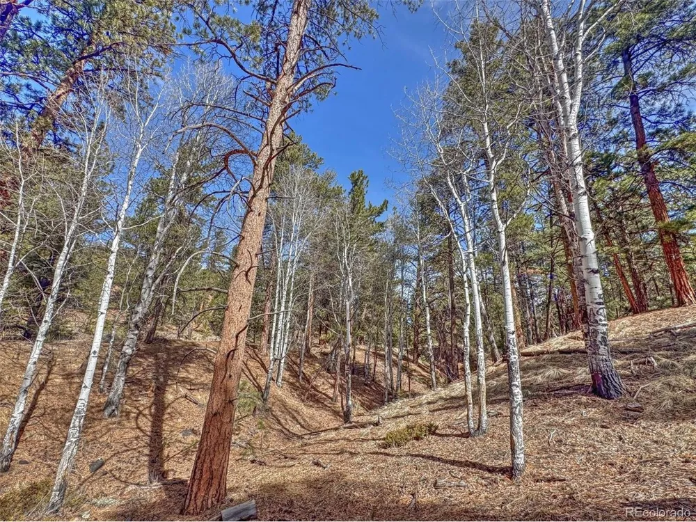 426 Arapaho Road Westcliffe, CO 81252