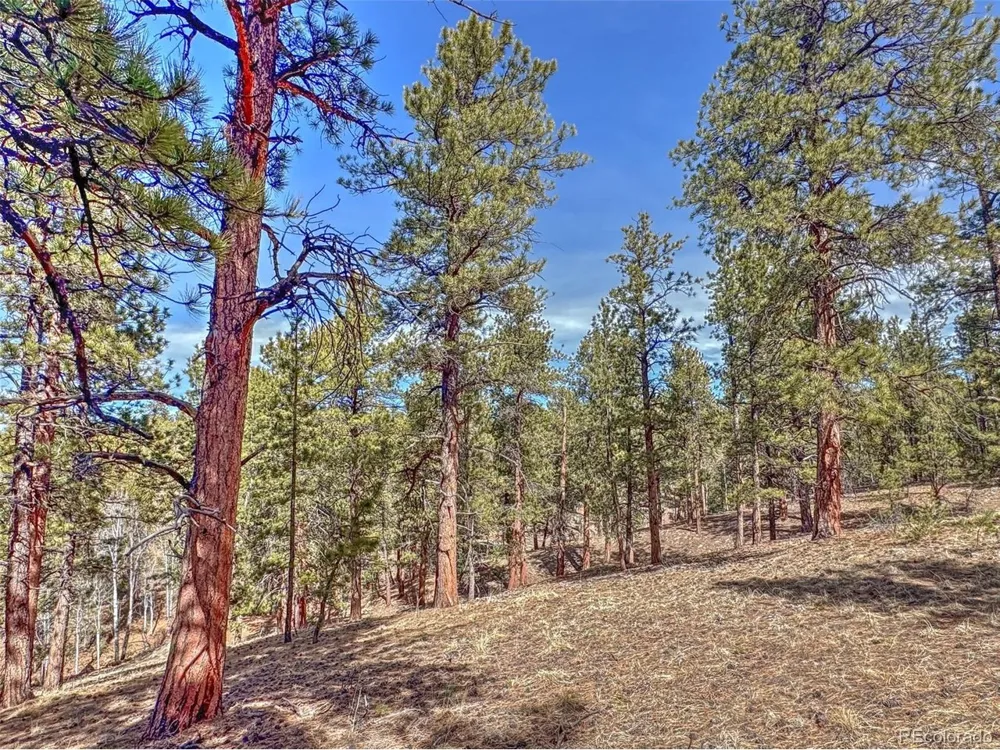 426 Arapaho Road Westcliffe, CO 81252