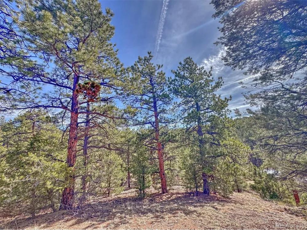 426 Arapaho Road Westcliffe, CO 81252