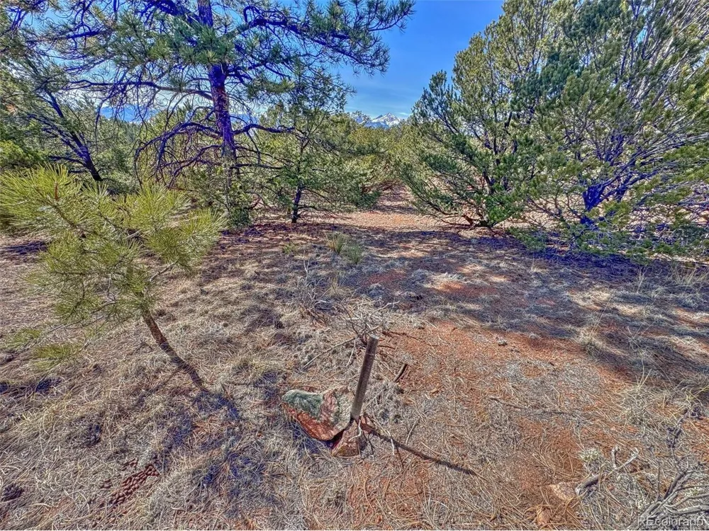 426 Arapaho Road Westcliffe, CO 81252