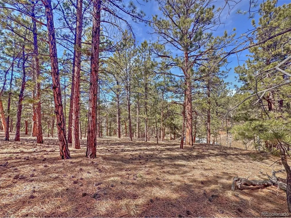 426 Arapaho Road Westcliffe, CO 81252