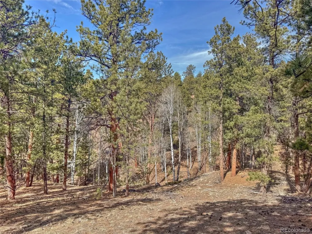 426 Arapaho Road Westcliffe, CO 81252