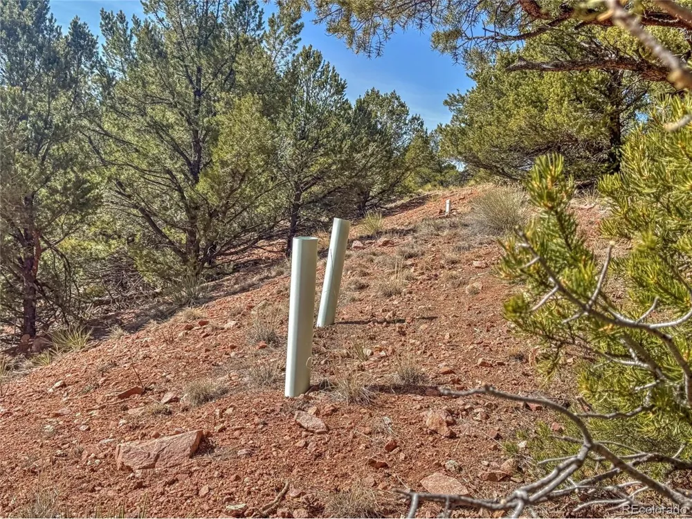 426 Arapaho Road Westcliffe, CO 81252