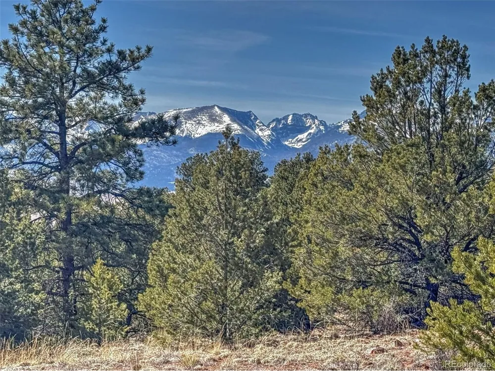 426 Arapaho Road Westcliffe, CO 81252