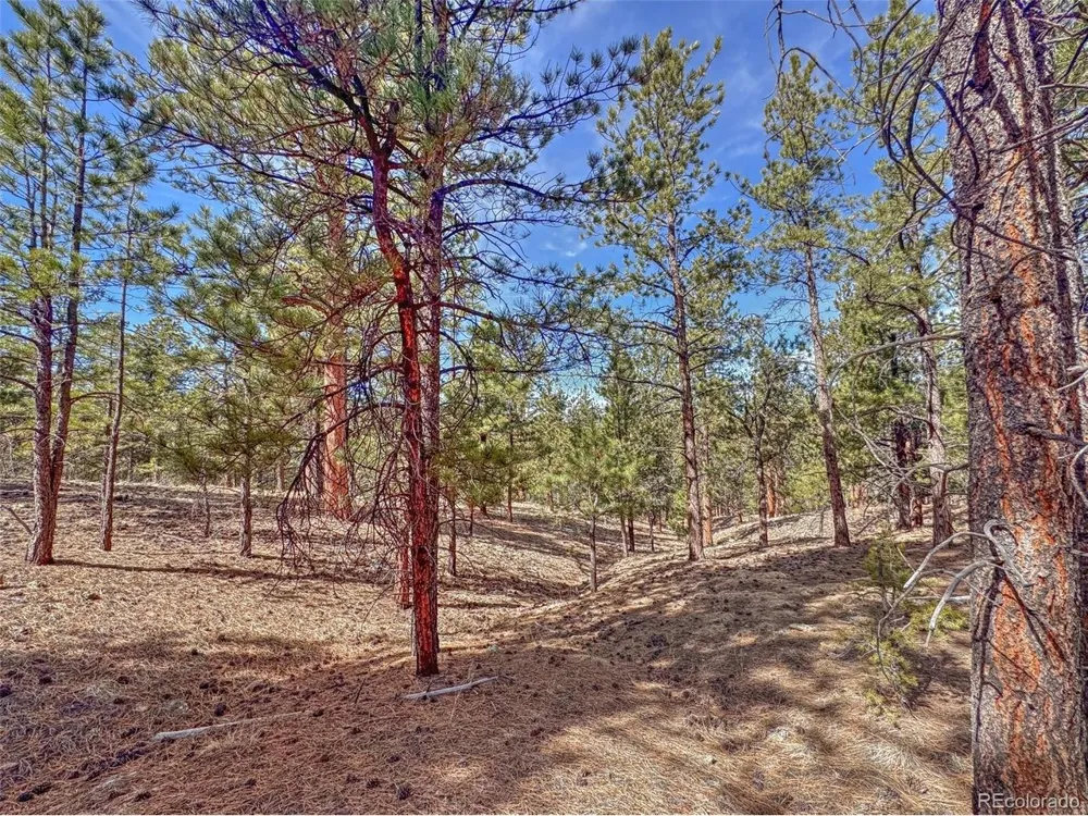 426 Arapaho Road Westcliffe, CO 81252