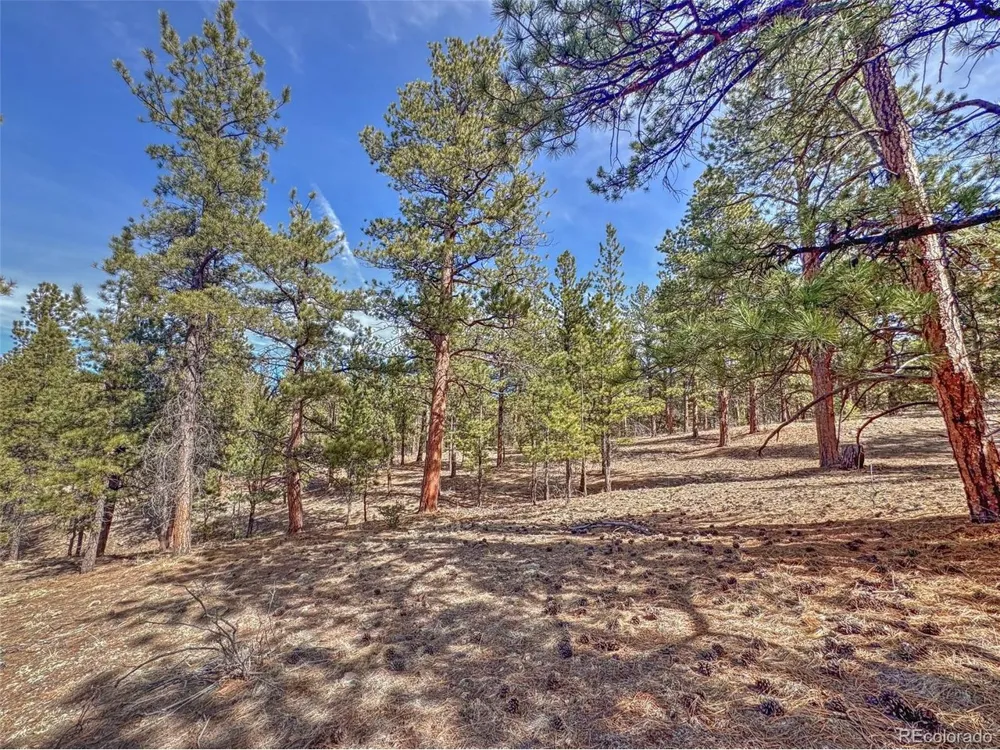 426 Arapaho Road Westcliffe, CO 81252