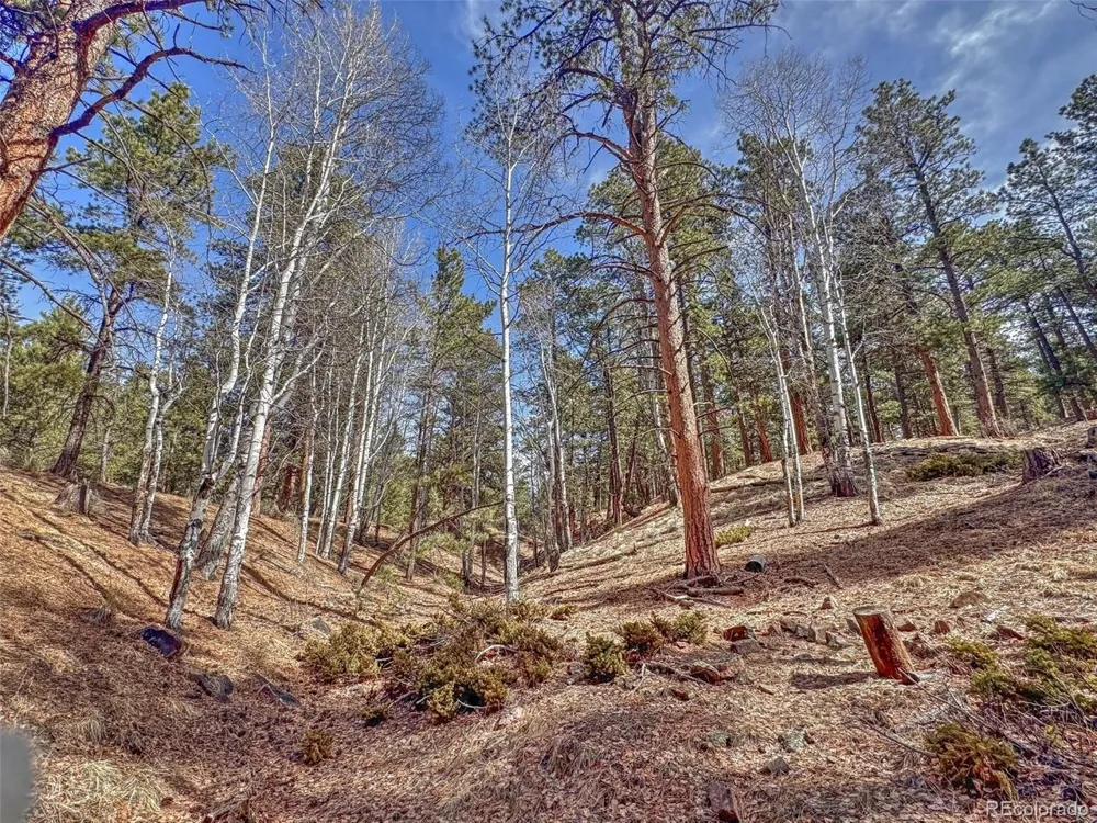 426 Arapaho Road Westcliffe, CO 81252