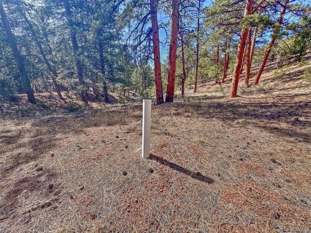 426 Arapaho Road Westcliffe, CO 81252