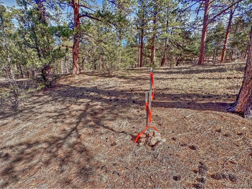 426 Arapaho Road Westcliffe, CO 81252